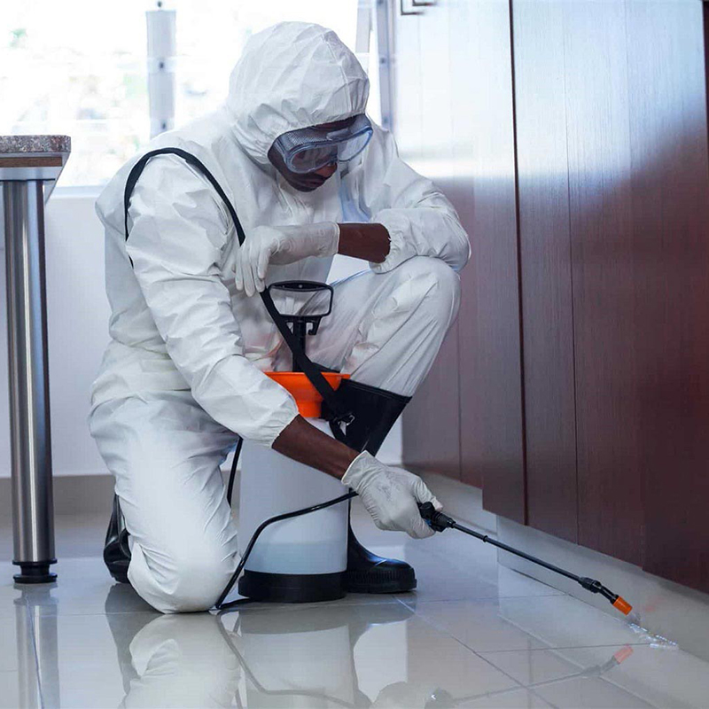 Sanificazione, igienizzazione, disinfestazione locali